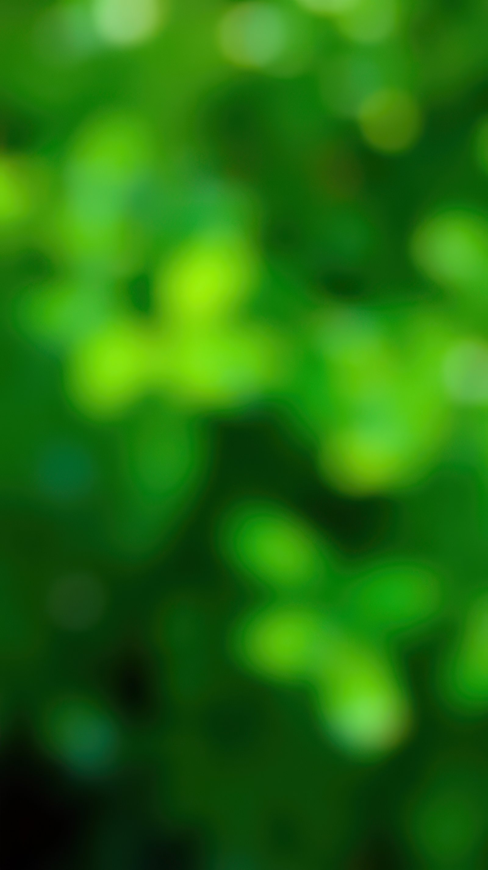 Soft green foliage creates a serene and calming background for outdoor adventures in nature
